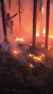 Масштабные лесные пожары в Югре: 37 очагов горения за сутки