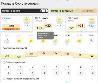 Погода в Югре: сильные дождь и гроза в западной части 1 августа