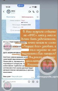 Югорчанка едва не попалась на уловки мошенников с налогами