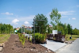 Обновленный сквер у «Колокола» в Лангепасе становится ярче и зелени